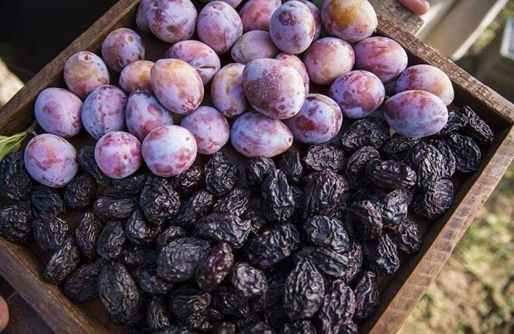 Ciruelas chilenas premium frescas y deshidratadas